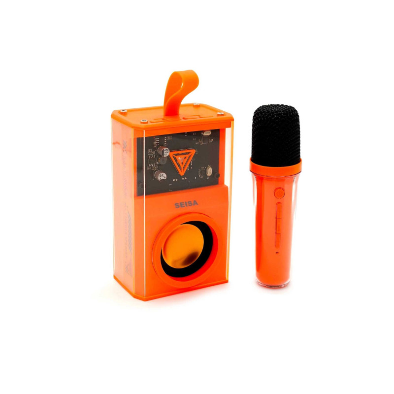 Parlante BT 10w + Microfono Con Efectos De Voz Para Karaoke - Imagen 4