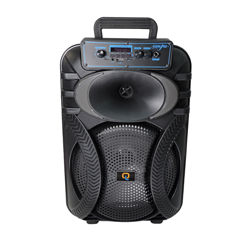 Parlante Recargable 2000w 10 Pulgadas Con Micrfono Luces RGB Y - Imagen 4