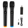 Microfonos Duo Inalambricos Karaoke Con Receptor BT Funcion A